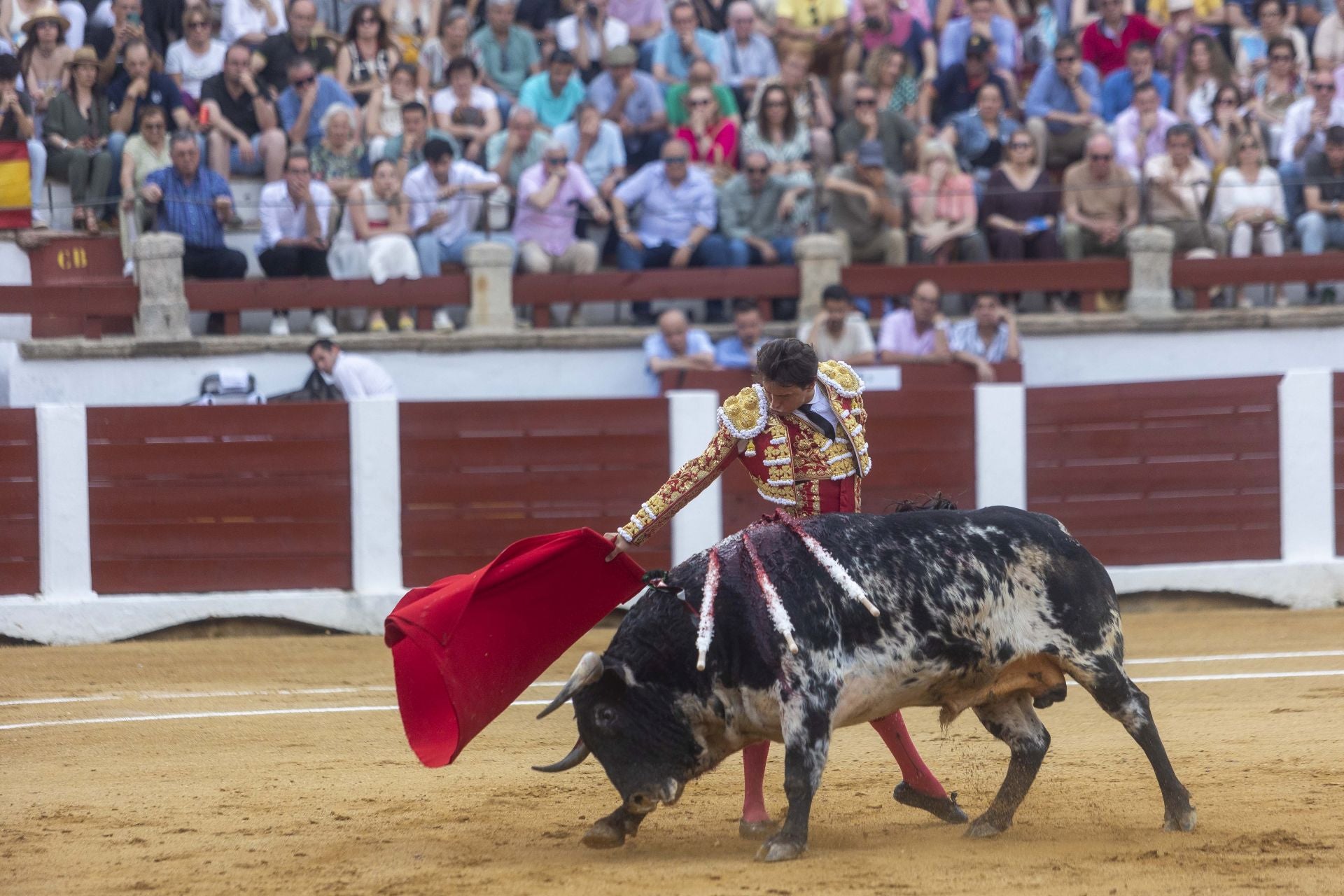 Fotos | Así ha sido el cierre de la Feria Taurina de Cácers con Ferrera, Roca y Marín