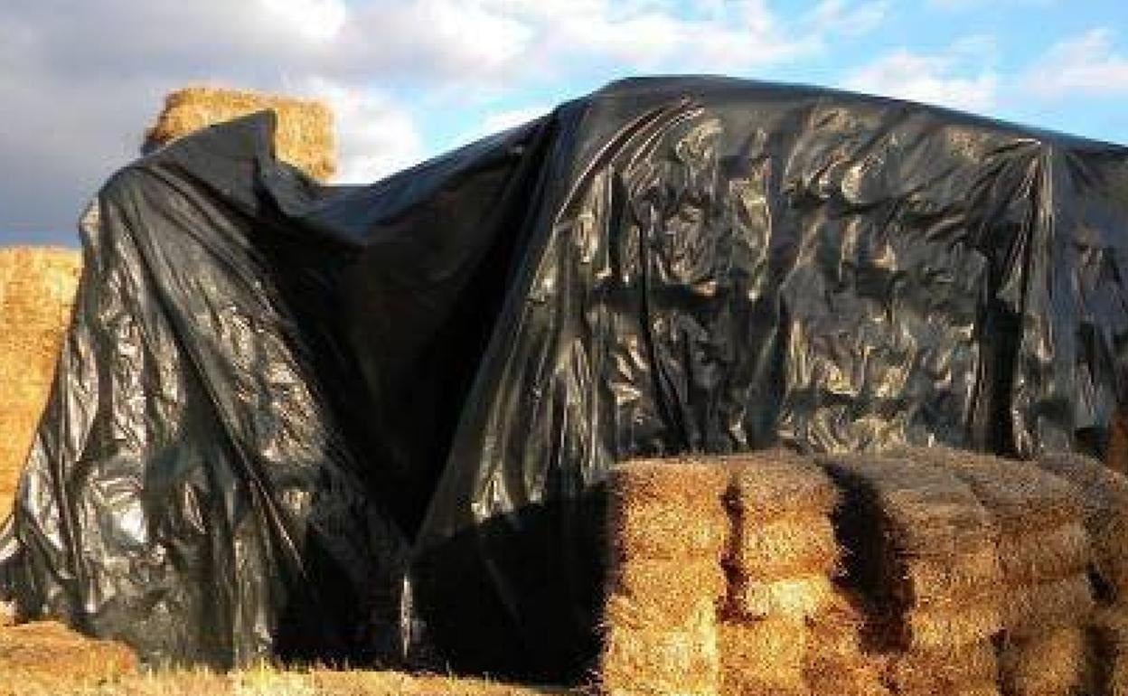 Imagen de archivo de pacas de paja en una finca extremeña.