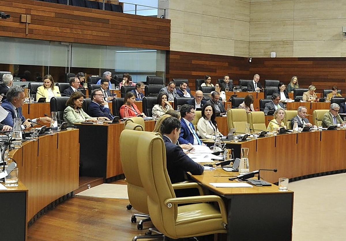Diputados autonómicos en el pleno de este jueves en la Asamblea.