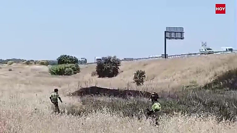 Los bomberos trabajan para extinguir un incendio de pastos en El Nevero de Badajoz