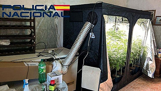 Detenido por tráfico de drogas, maltrato familiar y quebrantamiento de condena en la provincia de Badajoz
