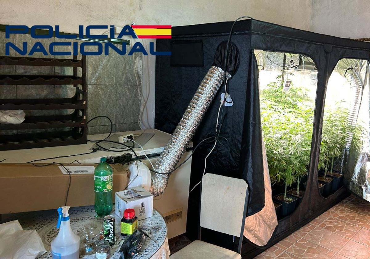 Interior del garaje de Trujillanos en el que había una plantación de marihuana.
