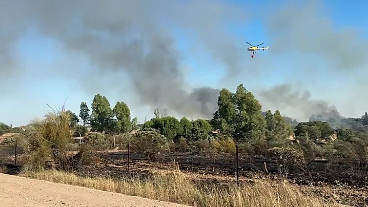 Declaran el nivel 1 de peligrosidad por un incendio forestal en Badajoz
