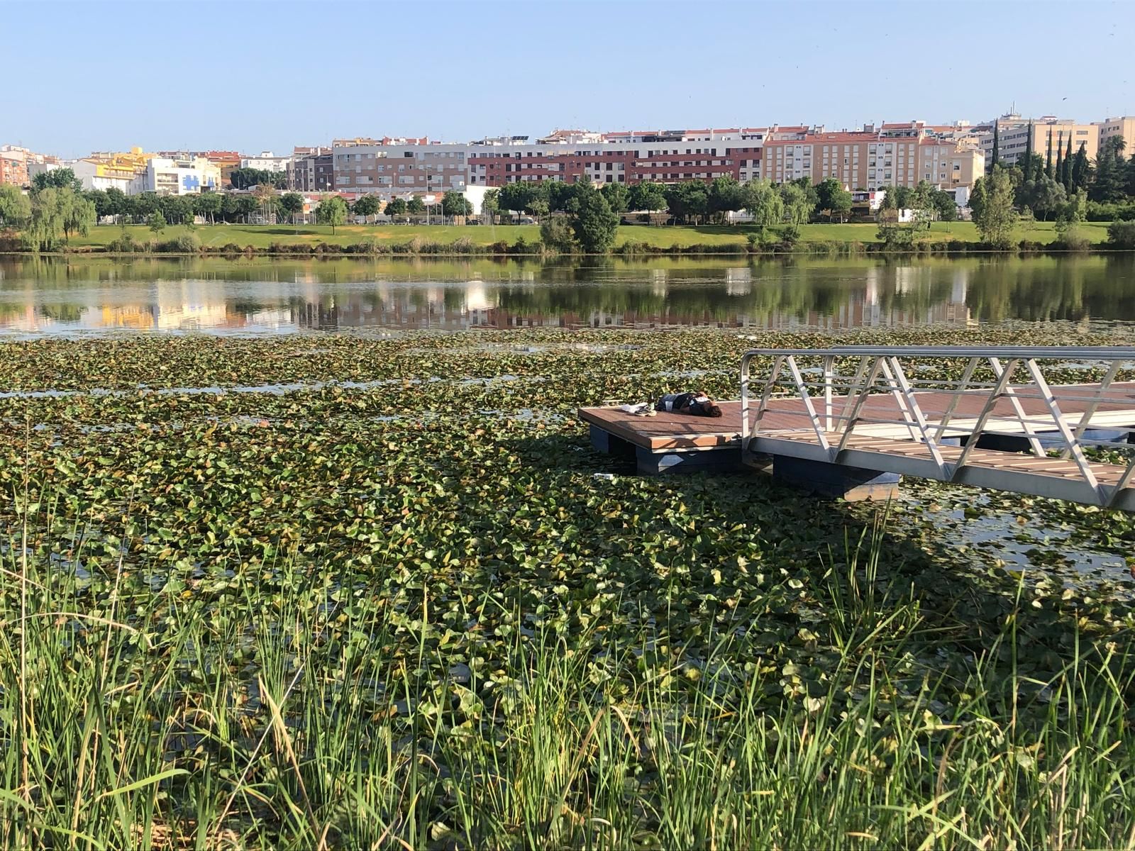 Así amanece el entorno del río Guadiana tras el revuelo de Los Palomos