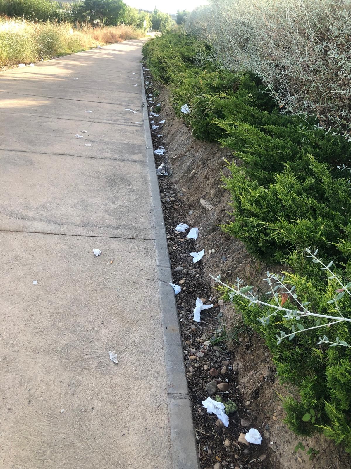 Así amanece el entorno del río Guadiana tras el revuelo de Los Palomos