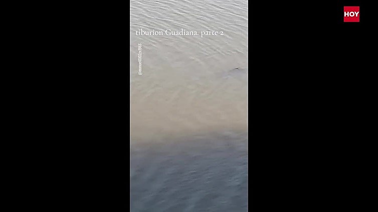 Se viraliza un vídeo de unos pescadores que creen haber visto un tiburón en el Guadiana