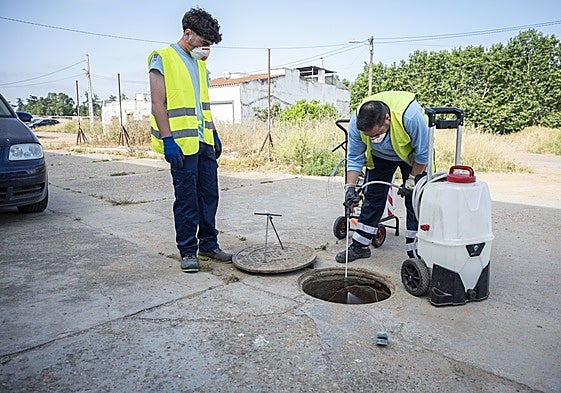 La fumigación se realiza alcantarilla a alcantarilla para asegurar que sea efectiva.