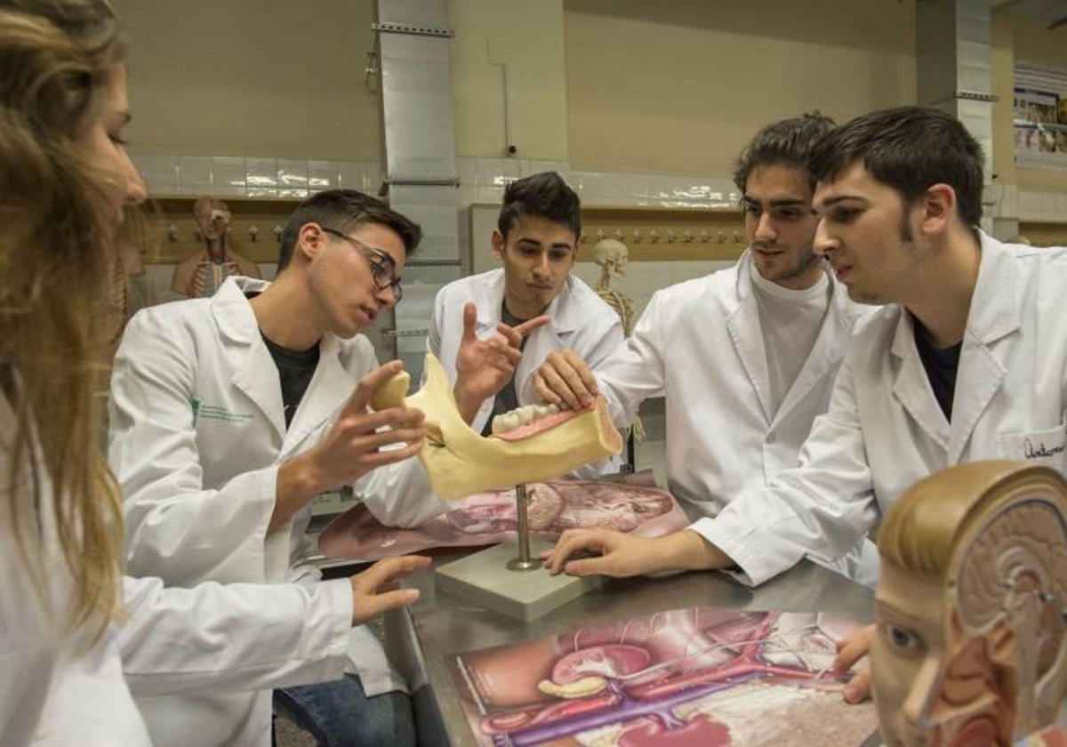 Medicina, Matemáticas y Psicología, entre las carreras de la UEx más difíciles de acceder