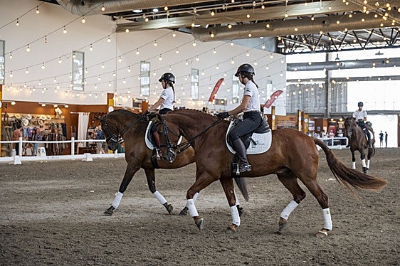 Una de las exhibiciones con caballos que ha habido durante la feria.