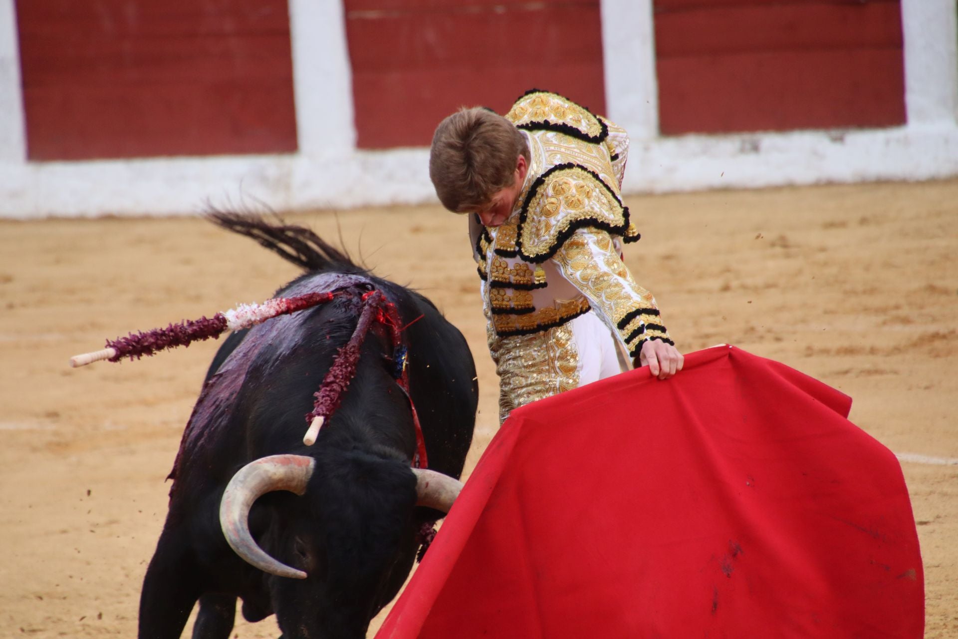 Fotos | Borja Jiménez sale por la puerta grande