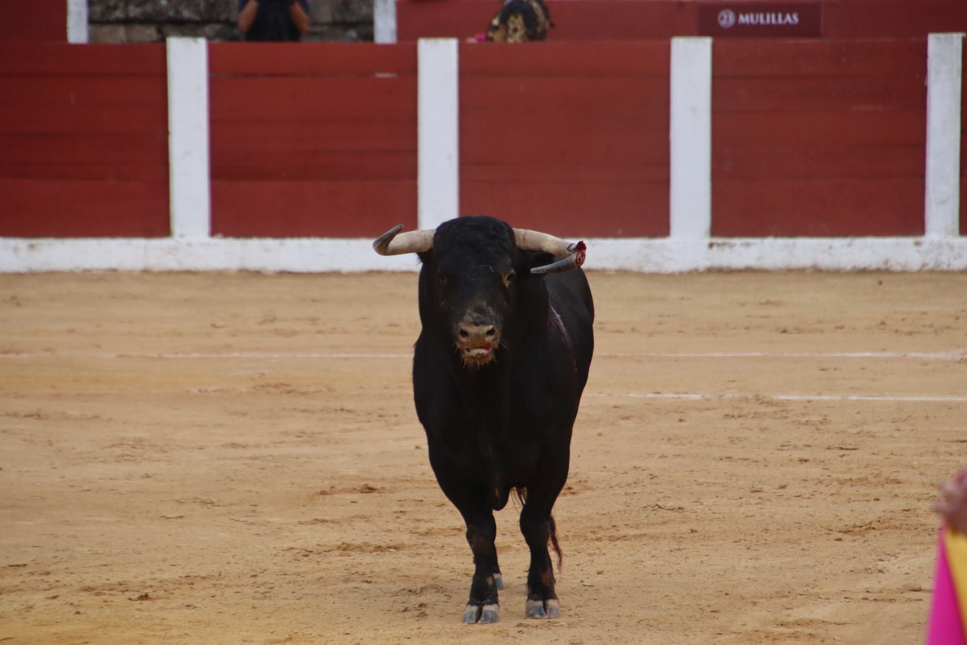 Fotos | Borja Jiménez sale por la puerta grande