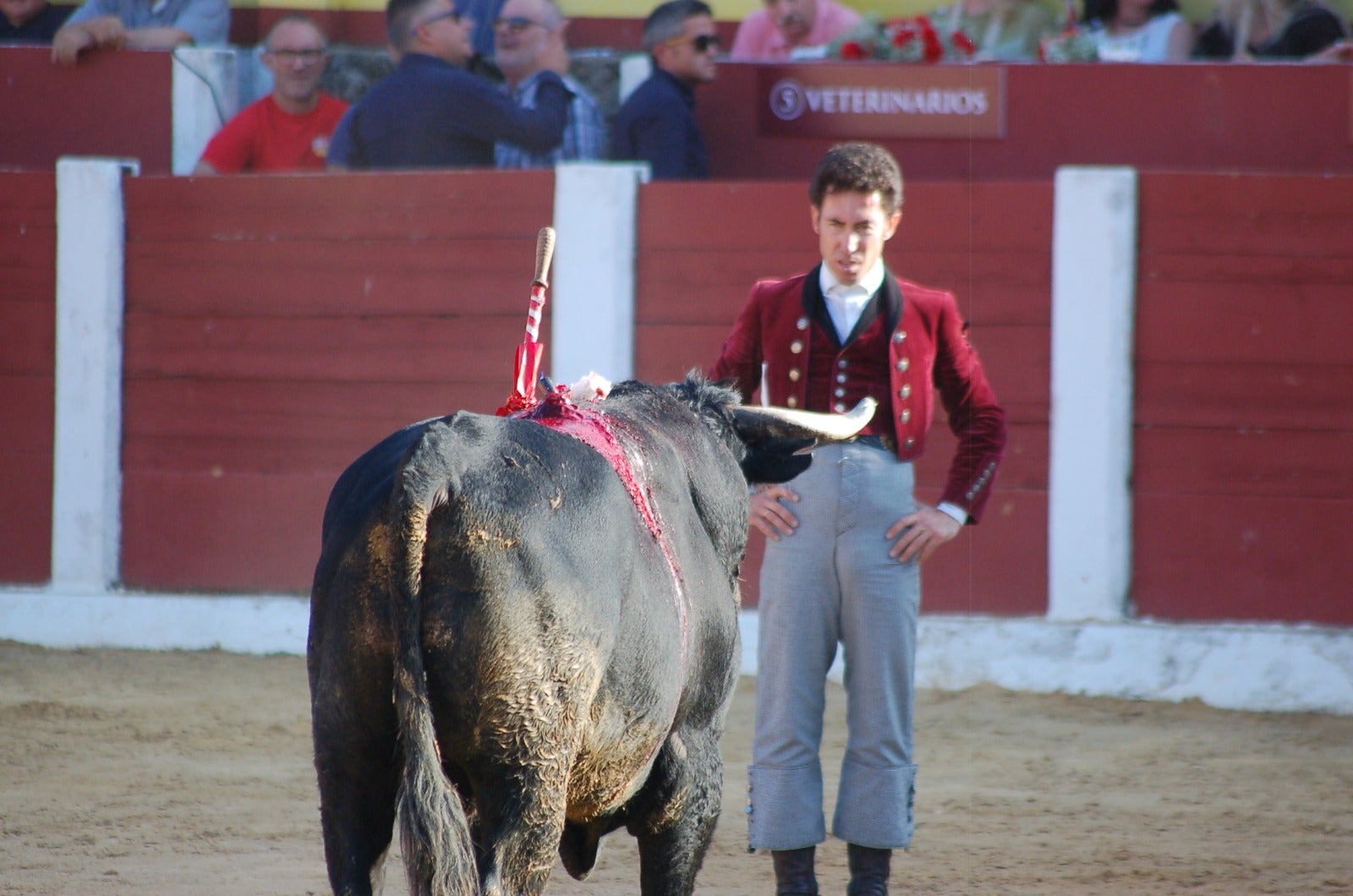 Fotos | Así fue la carrida de toros donde Diego Ventura y Leonardo Hernández salieron a hombros
