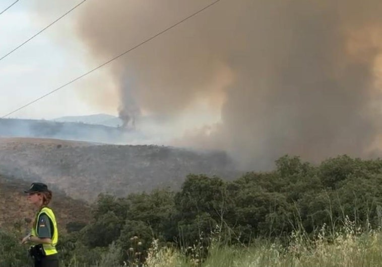 Columnas de humo provocadas por el incendio en Valdecañas de Tajo.