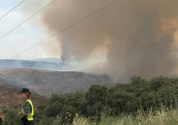 Un incendio en Valdecañas del Tajo obliga a cortar una carretera y deja sin luz a la población