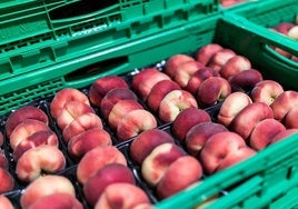 Las compras de Mercadona a proveedores extremeños superaron los 548 millones en 2024