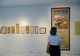 Exposición taurina en la Diputación de Badajoz.