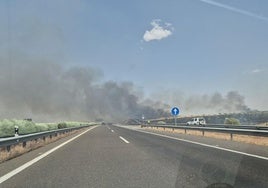 Incendio en el término municipal de Fuente de Cantos.