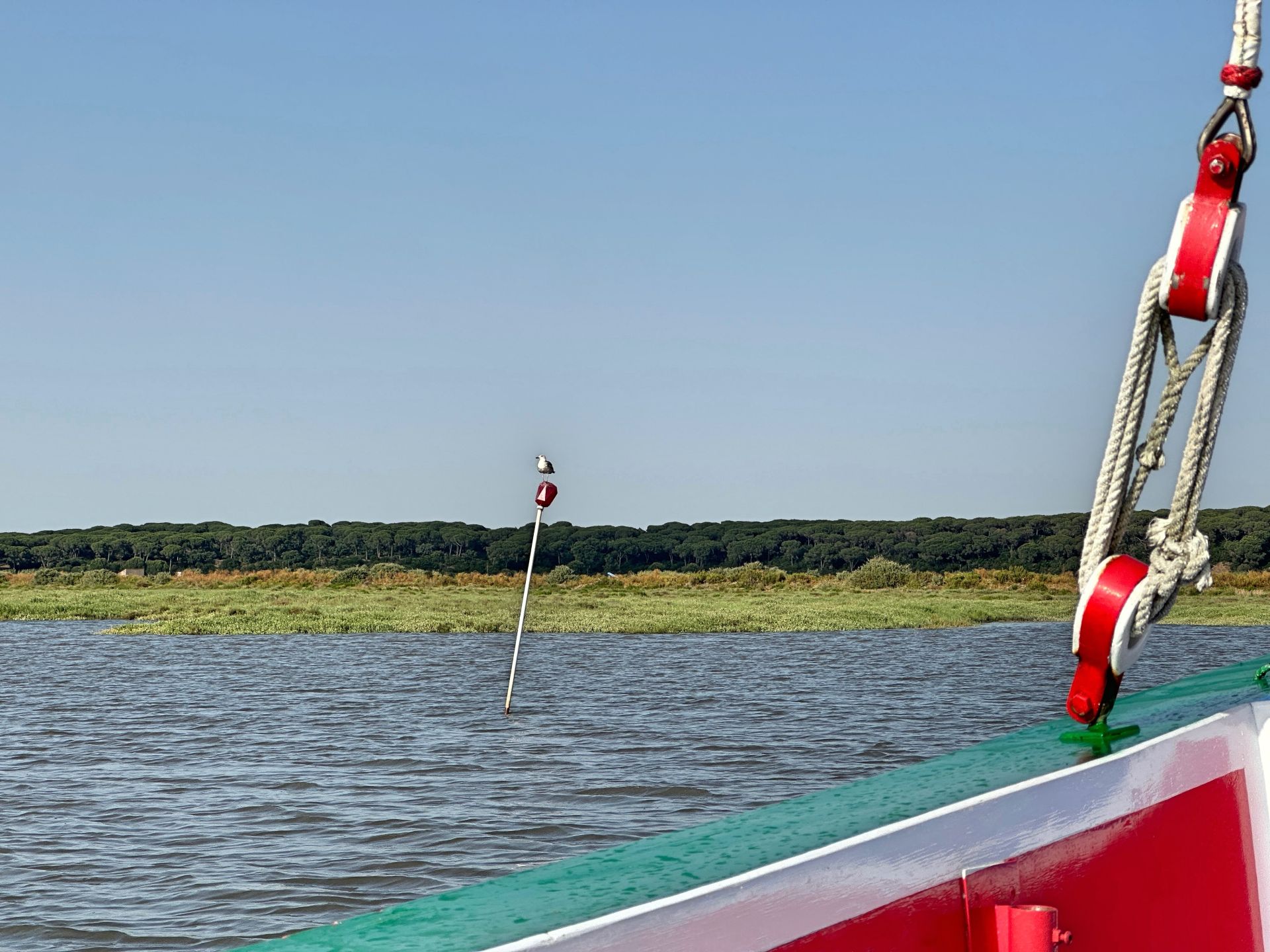 Paseo en barco y salinas en el estudario del Tajo