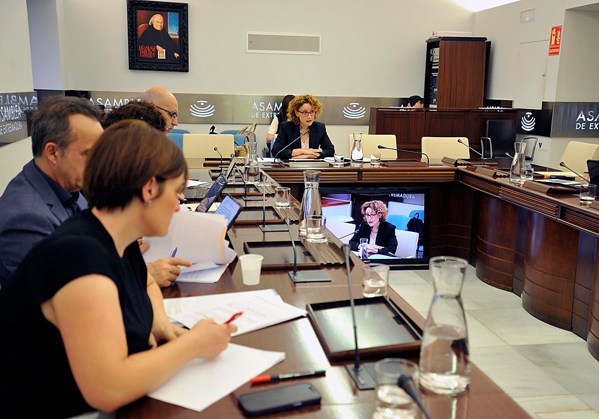 La gerente del Sepad, Estrella Martínez, en una comparecencia en la Asamblea.