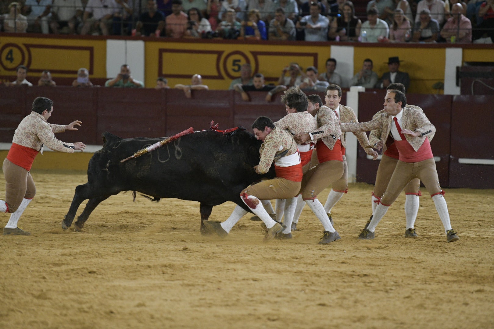 Fotos | Las mejores imágenes de la primera corrida de toros de la feria de San Juan de Badajoz 2025