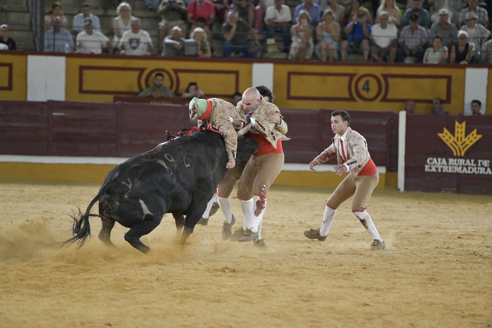 Fotos | Las mejores imágenes de la primera corrida de toros de la feria de San Juan de Badajoz 2025