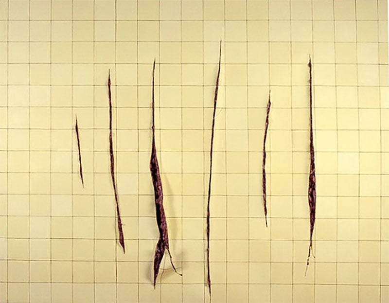 'Incisiones a la fontana', de 2002, de Adriana Varejão