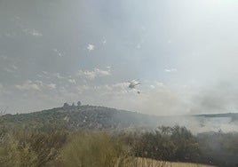 Humo producido por el incendio de Navalvillar de Pela.