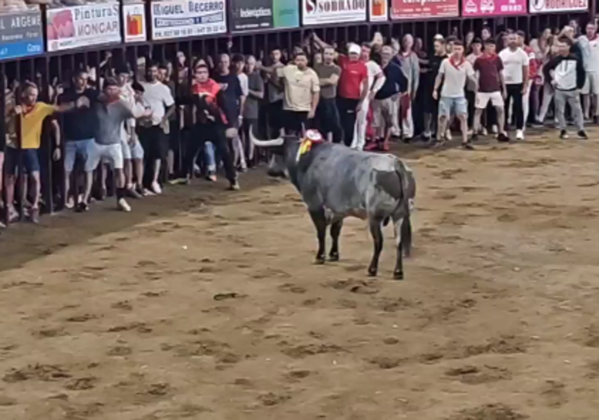 Imagen principal - El toro protagonista de la madrugada fue 'Cartuchero' de la ganadería Ana Romero