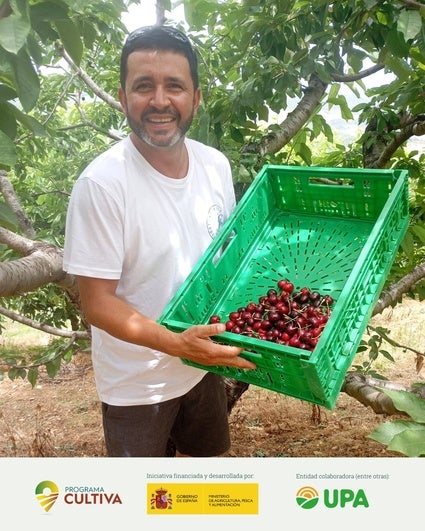 De Aceituna a Caminomorisco para aprender a cultivar cerezas
