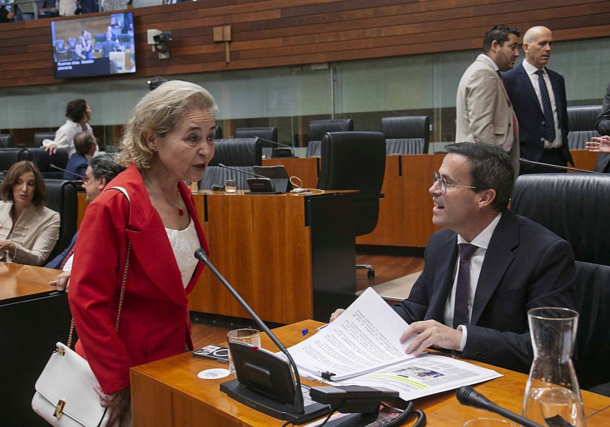 La consejera de Educación de la Junta, Mercedes Vaquera, saluda al presidente del Grupo Socialista, Miguel Ángel Gallardo.