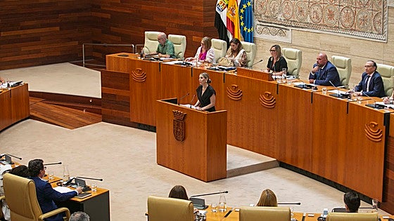 La Junta ofrecerá la adopción a las familias de acogida
