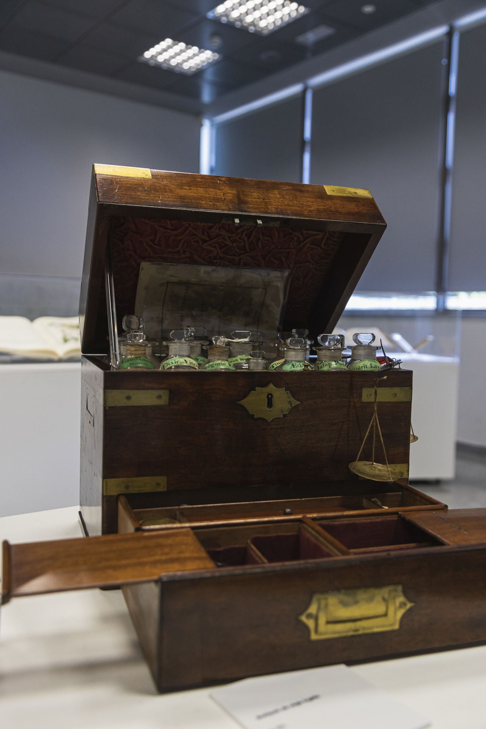 Fotos | Así es la exposición de libros del colegio de Farmacéuticos de Badajoz