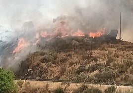 Incendio en Garrovillas de Alconétar.