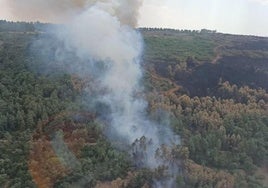 Incendio forestal en Valdecaballeros.