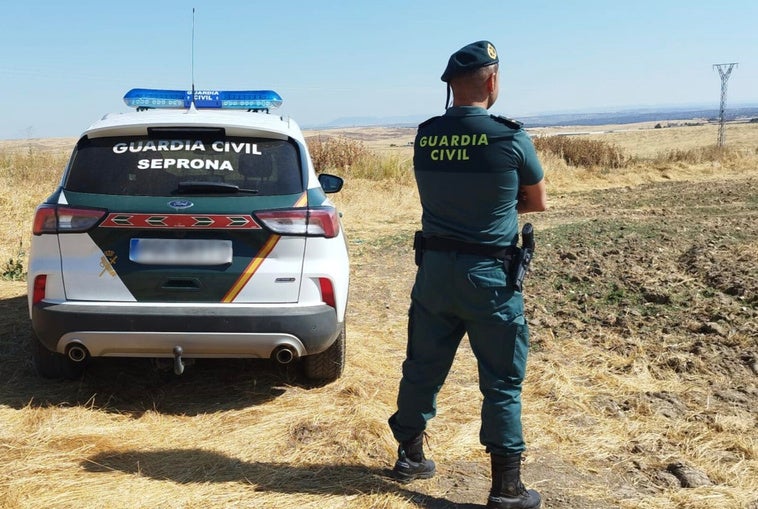 La Guardia Civil descubre un entramado ilegal de caza en un coto social de la provincia de Cáceres