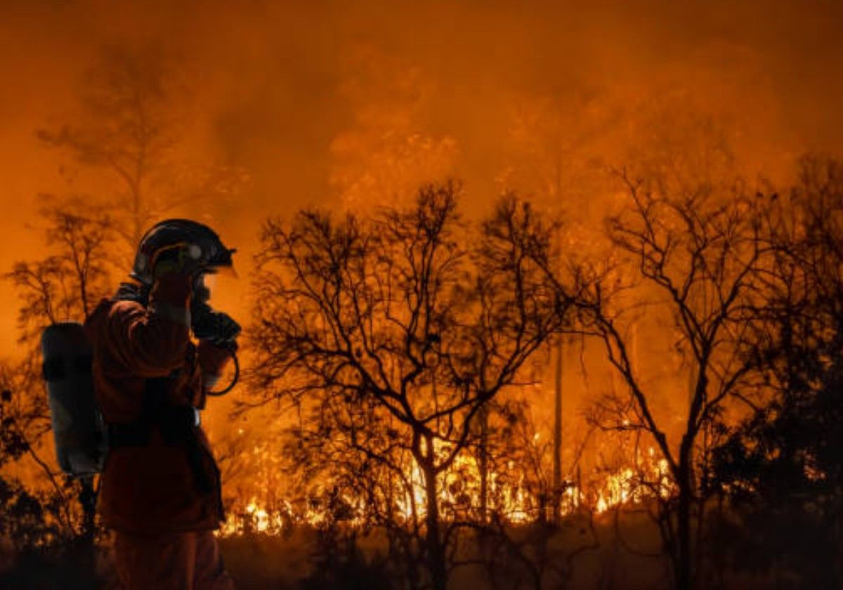 Qué son los incendios de sexta generación o megaincendios