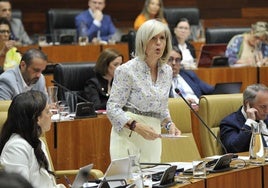 La consejera de Cultura, Turismo y Deportes, Victoria Bazaga, en la Asamblea.