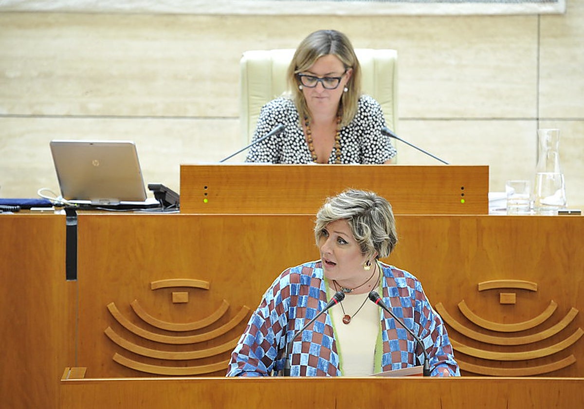 La diputada socialista Soraya Vega.