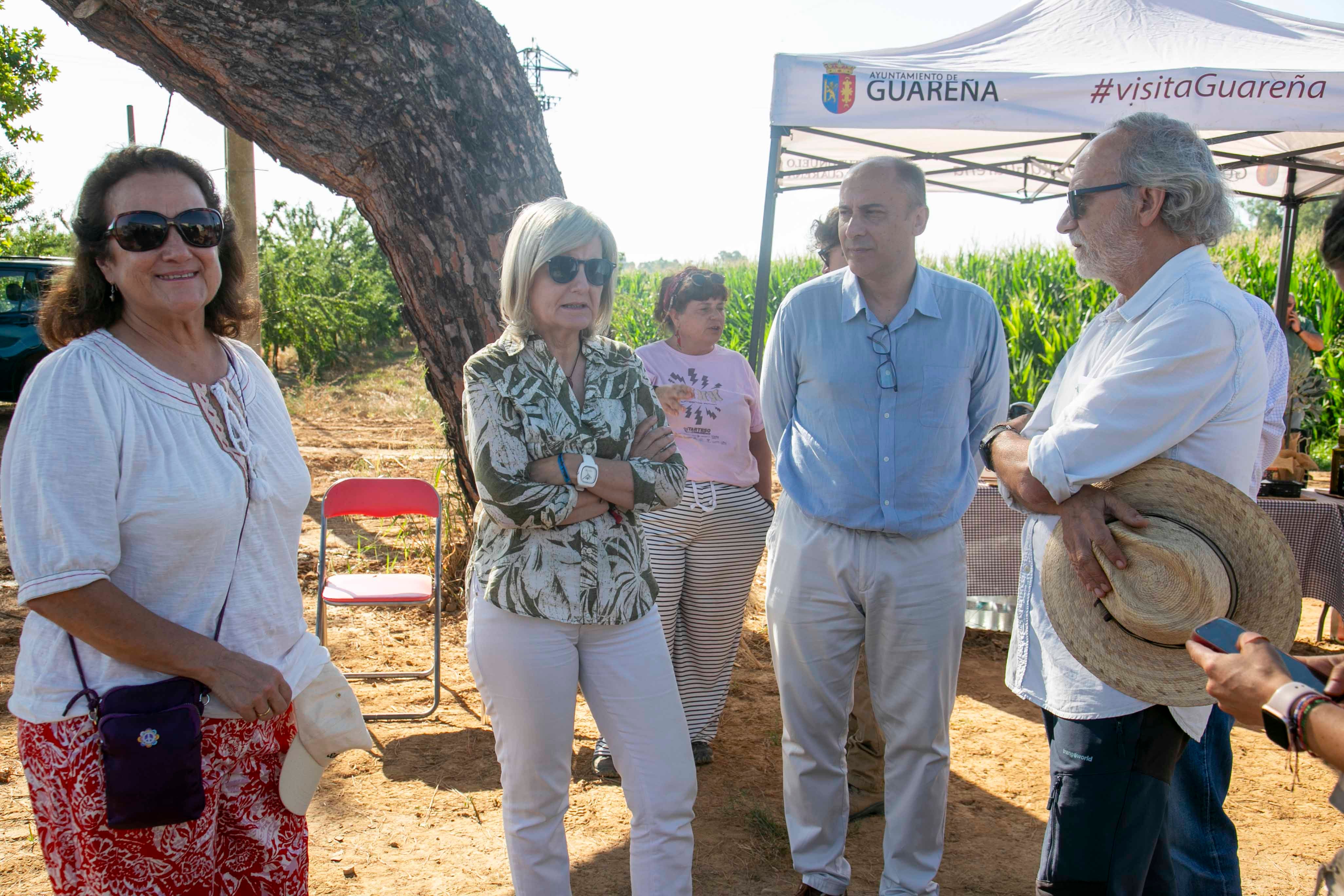 Descubrimientos en la excavación en el yacimiento de Casas del Turuñuelo