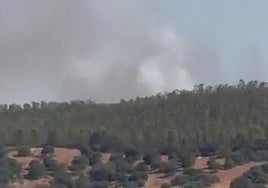 Imagen del humo por el incendio en Puebla de la Reina.