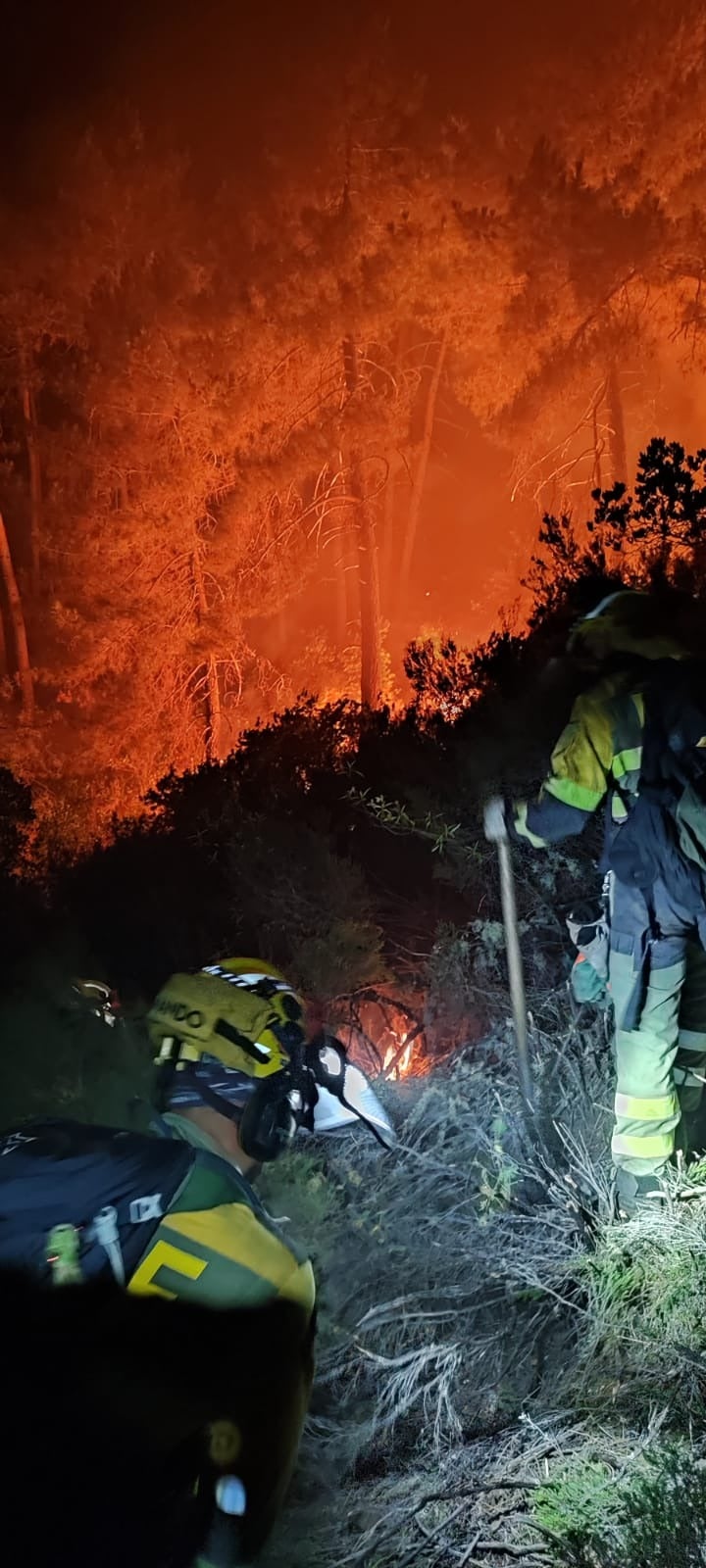 La brigada BRIF Pinofranqueado trabajaron durante toda la noche realizado linea negra empezada por la brigada presencial hasta una pasada de bulldozer. Primer tramo con apoyo y refresco de tendido de manguera del Plan Infoex.