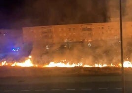 Las llamas asolaron de madrugada una parcela privada en Cáceres el Viejo.