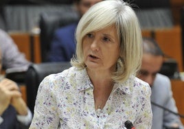 La consejera Victoria Bazaga compareciendo en la Asamblea.