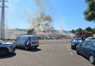 Fuego en el solar que hay junto a la calle Mondego esta mañana en Badajoz.