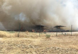 Incendio forestal en el parque eólico del Merengue, en Plasencia.