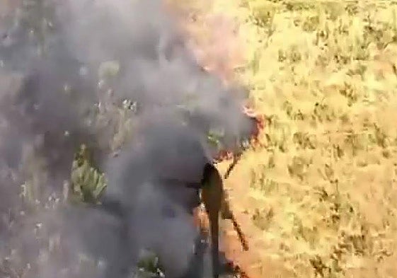 Incendio forestal en Plasencia.