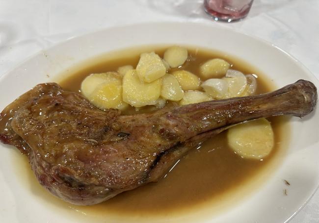 Paletilla.