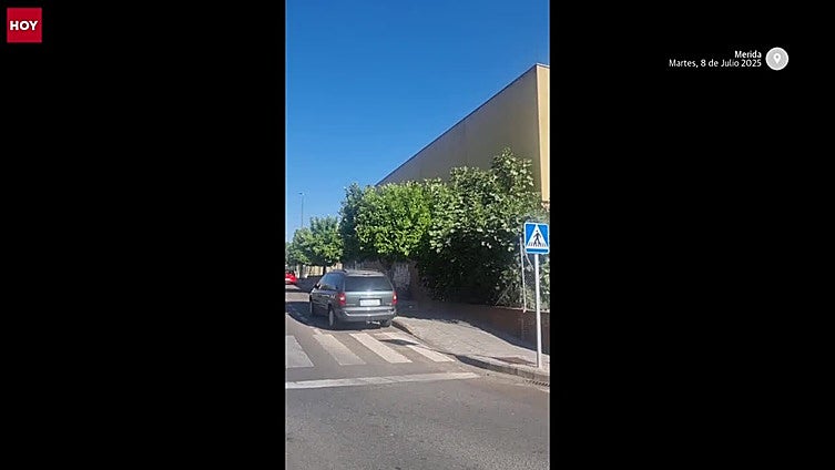 El Ayuntamiento de Mérida instalará 47 jaulas para capturar palomas