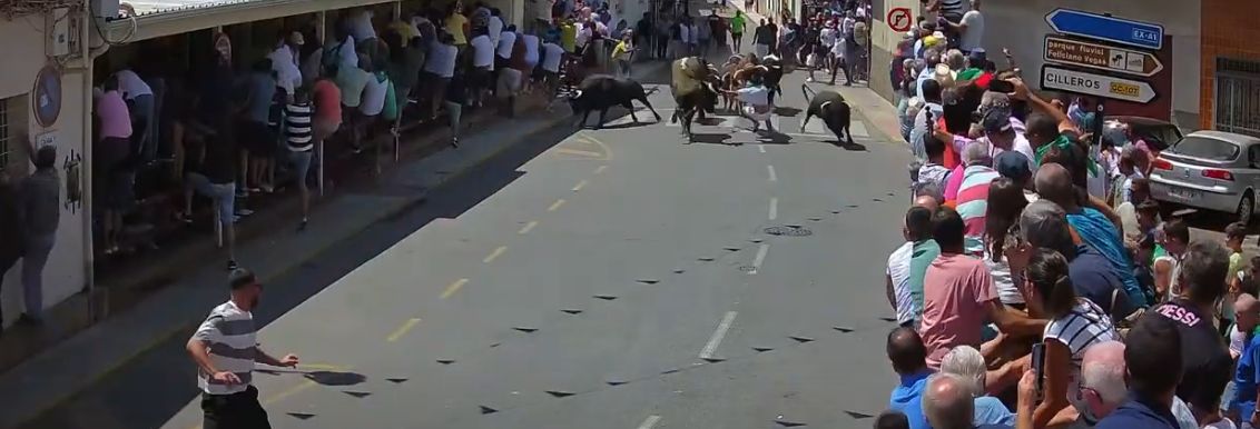 Así ha sido momento en el que los 'Patas blancas' de Victorino Martín han arrollado a un corredor