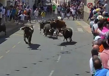 Arrollado un corredor por los 'Patas Blancas' de Victorino Martín en Moraleja